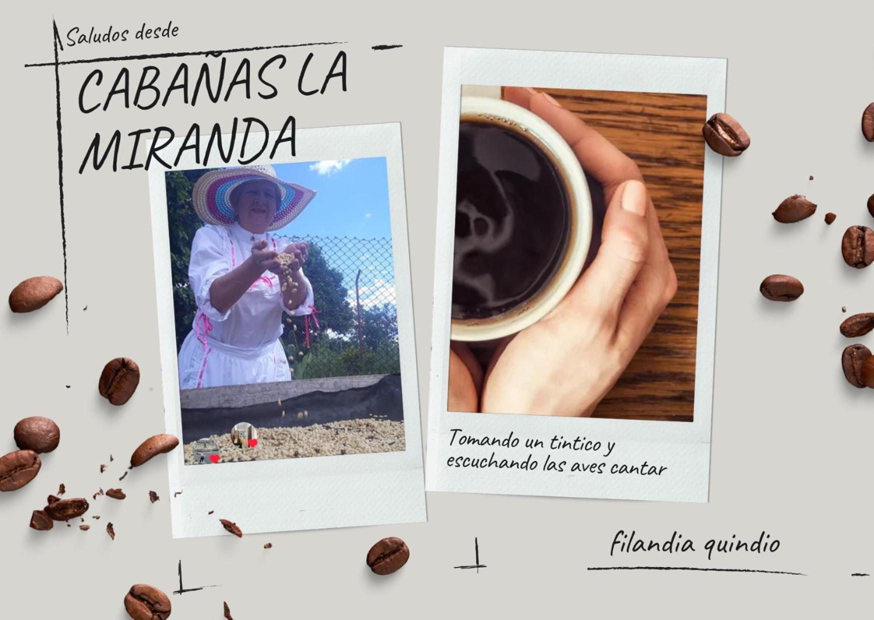 Cabanas La Miranda Filandia Exterior foto